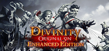 Divinity: Original Sin - Enhanced Edition cover art